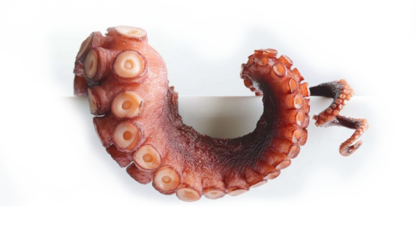 Καλώς ήρθατε στο seafood restaurant
"Της Καλής"